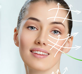 Разделы выставки